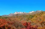 Seoraksan National Park In Autumn,korea Stock Photo