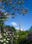 Eiffel Tower And Colorful Blossoming Trees, Paris Stock Photo