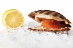 Scallop With Lemon Stock Photo