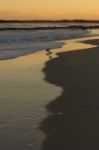 Seagulls On The Beach Stock Photo