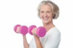 Joyous Fit Woman Lifting Dumbbells Stock Photo