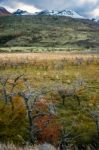 Autumn In Patagonia. The Torres Del Paine National Park In The S Stock Photo