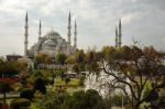 Blue Mosque Stock Photo