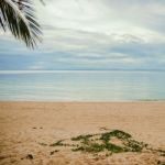 Tangalooma Island Beach In Moreton Bay.  Stock Photo