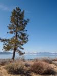 Landscape Of Lake Tahoe Stock Photo