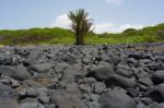 Senegal, Iles De La Madeleine Stock Photo