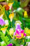 Flowers Decorative In Vase Stock Photo