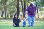 Family In The Park Stock Photo