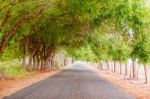 Picturesque Road In Azuero Peninsula In Panama Stock Photo