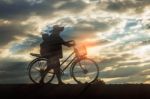 Farmer With Bicycle On A Field Stock Photo