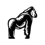 Silverback Gorilla Side View Woodcut Stock Photo