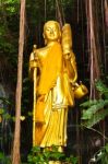 Golden Standing Buddha Statue Stock Photo