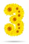 Number 3 Made Of Sunflower Stock Photo