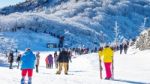 Tourists Taking Photos Of The Beautiful Scenery And Skiing Around Deogyusan,south Korea Stock Photo