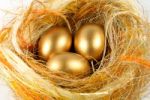 Gold Egg  Stock Photo