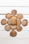 Several Clam Shells Isolated Stock Photo