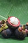 Mangosteen Stock Photo