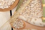 Organic Barley Grains Stock Photo