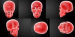 3d Rendering Red Skull On Black Background Stock Photo