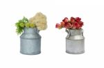 Tin Pot With Fresh And Dry Flower On White Background Stock Photo