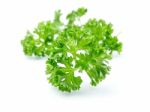 Parsley Stock Photo