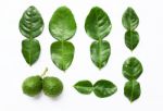 Bergamot Kaffir Lime Leaves Herb Fresh Ingredient Isolated On Wh Stock Photo