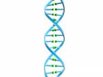 Dna Stock Photo