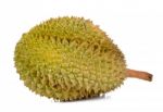 King Of Fruits, Durian Isolated On White Background Stock Photo