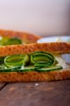 Fresh Vegetarian Sandwich With Garlic Cheese Dip Salad Stock Photo