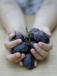 Holding Grapes Stock Photo