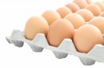 Carton Raw Eggs Box On White Background Stock Photo