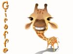 Giraffe Stock Photo