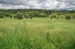 View Of The Scenic Tuscan Countryside Stock Photo