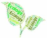 Ecology Word Indicating Earth Day And Protecting Stock Photo