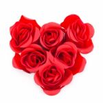 Heart Shaped Rose Stock Photo