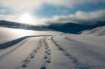 Fresh Snow At Snow Farm Stock Photo