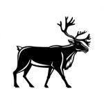 Caribou Walking Side Retro Stock Photo