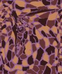 Abstract Texture Of Giraffe Head And Skin Stock Photo