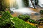 Fresh Green Plant And Rock In Middle Mun Dang Waterfall Rain Sea Stock Photo