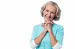 Cheerful Portrait Of Smiling Senior Woman Stock Photo