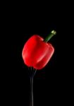 Red Paprika Chilli On Silver Fork With Black Background Stock Photo