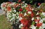 East Grinstead In Bloom Stock Photo