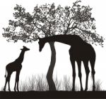 Silhouettes Of Giraffes And Tree Stock Photo