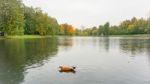 Autumn Season In Russia Moscow Stock Photo