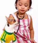 Child Taking Care Of Chihuahua Stock Photo