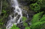 Waterfall In Cradle Mountain Stock Photo