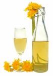 Dandelion Wine Stock Photo