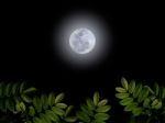 Full Moon Stock Photo