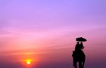 Silhouette Elephant With Tourist At Sunset Stock Photo