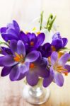 Bunch Of Spring Flowers. Crocus And Snowdrops On The Wooden Back Stock Photo